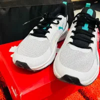 کفش اصل پوما نو بارکد دار|کیف، کفش، کمربند|شاهینشهر, مخابرات (شهید بهشتی)|دیوار