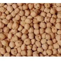 فروش نخود بهاره 100 کیلو