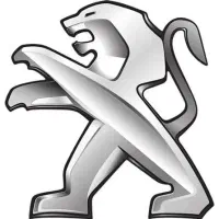 پژو پارس ۹۳ دوگانه شرکت