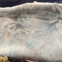 چادر رنگی نو سر نکرده|لباس|شیراز, محراب|دیوار