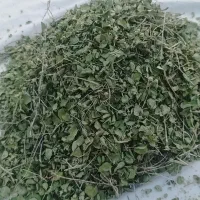 آویشن