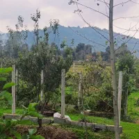 340متر-مربع-مسکونی