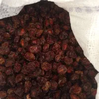 حبوبات|خوردنی و آشامیدنی|شیراز, میانرود|دیوار