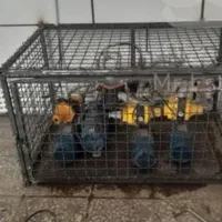 جوشکاری سیار برداران شجاع|خدمات پیشه و مهارت|خواف, |دیوار