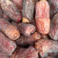 خرما پیارم  امسالی گوشتی تازه نرم