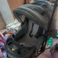 کالسکه|کالسکه و لوازم جانبی|مشگین شهر, |دیوار