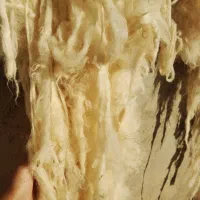 پشم|رختخواب، بالش، پتو|بجنورد, |دیوار