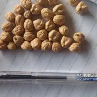 نخود گوکسو جهت بذر