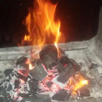 ذغال کبابی ویژه