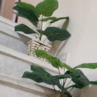 گل مصنوعی فقط سیصدونود وپنج تومن