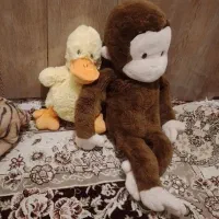 عروسک|اسباببازی|تبریز, |دیوار