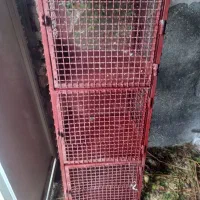 قفس۵۰در۵۰|لوازم جانبی حیوانات|سبزوار, طبرسی (جعفرآباد)|دیوار