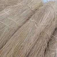 فروش 110عدد کلش به قیمت هر عدد 80هزار تومان