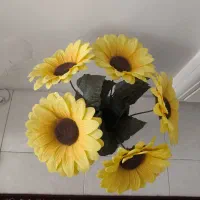 شیرینی خوری سوگا و تشک دونفره و گلدان و بستنی ..