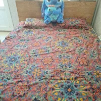 رو تختی ۲ نفره  و ۲عدد رو بالشی