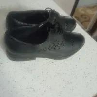 کفش نو|کیف، کفش، کمربند|ابهر, |دیوار