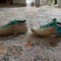 کفش های کپی ویت نامی