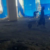 تخریب ساختمان کارگری|خدمات پیشه و مهارت|کرج, شاهین‌ویلا|دیوار