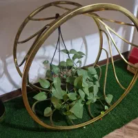 میز عسلی|مبلمان خانگی و میز عسلی|کرمان, |دیوار