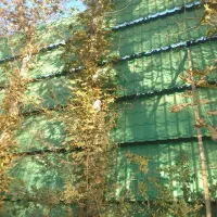 جوشکاری لوله کشی و برق کاری نقاشی(قیمت مناسب)|خدمات پیشه و مهارت|کرج, گلشهر|دیوار