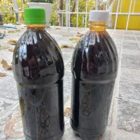 رب انار|خوردنی و آشامیدنی|ری, بیبی شهر بانو|دیوار