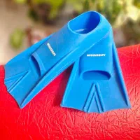 فین غواصی قدرتی میسیسیپی درحدنو