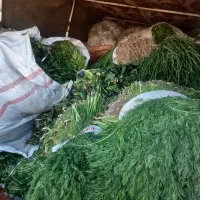 سبزی درجه ۱ دزفول تحویل درب منزل