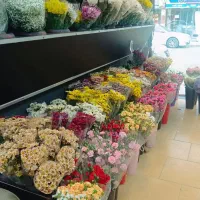 دکور گلفروشی همراه با گلدان
