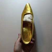 کفش مجلسی