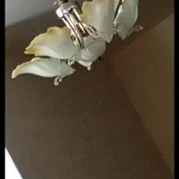 لوستر|لوستر و چراغ آویز|خمین, |دیوار