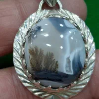 پلاک گردنی شجر قائن