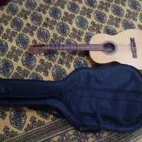 گیتار ۳/۴ هافنر آلمان