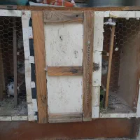 قفس کبوتر با نی بند