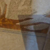 فروش خانه و زمین بر روی کمربندی سیرجان نی ریز