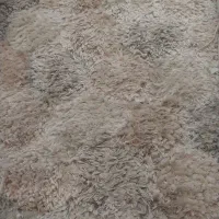 فرش  اتاق خواب درحدنو