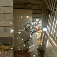 سمپاشی تخصصی سوسک و ساس با ضمانت کتبی|خدمات نظافت|کرج, برغان|دیوار