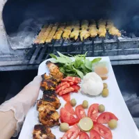 نیرو کار کبابی ادیی