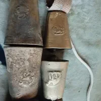 زنگ گوسفند شیرو خورشید