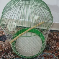 قفس پرنده