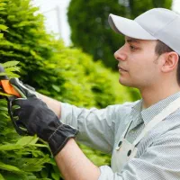 باغبانی بیل زنی حرس کردن