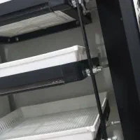 جوجه کشی آژاکس اسکندری