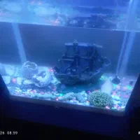 آکواریوم شرکتی AQUA معاوضه یا فروش