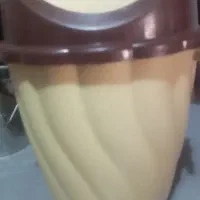 دوعدد سطل آشغال در حدنوی نو