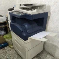 زیراکس 5955