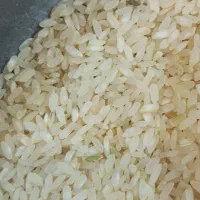 برنج کامفیروزی اصل|خوردنی و آشامیدنی|مرودشت, فرهنگ|دیوار