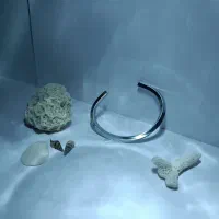 بدلیجات|بدلیجات|شیراز, فضل‌آباد|دیوار