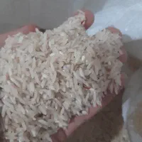 برنج محلی بشرط دره شهر چمکلان