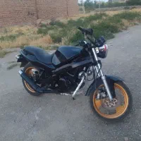 آمیکو سوزوکی 249