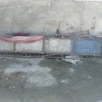 لبه توری تریلی