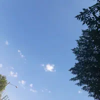 فرصت استثنایی درآمد